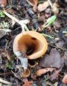 Herfst in de natuur (17)