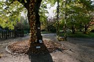 NEOS op verkenning in de Japanse Tuin