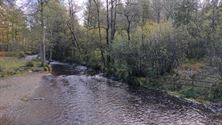 Pasarleden op herfstwandeling in de Ardennen
