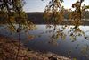 Herfst in Bolderberg (2)