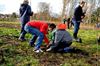 Kinderen planten kamperfoelie op Bovy