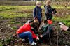 Kinderen planten kamperfoelie op Bovy