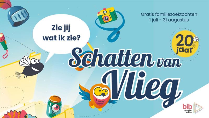Schatten van Vlieg
