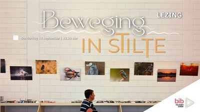 Beweging in stilte