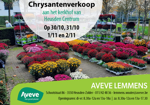 Advertentie