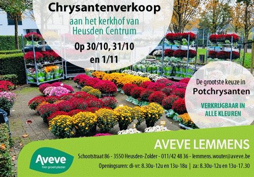 Advertentie